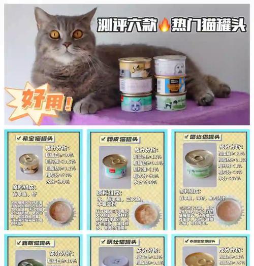 幼猫罐头搭配哪种猫粮最合适?