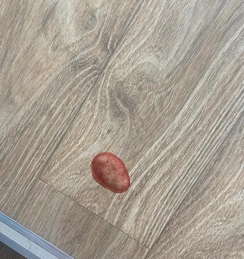 猫吃硬粮后吐血应该怎么办?需要给猫吃什么药?