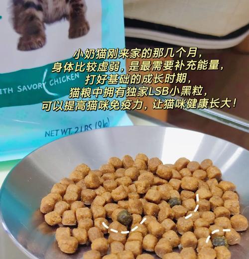 牛奶泡猫粮的正确方法?这样做对猫咪健康吗?