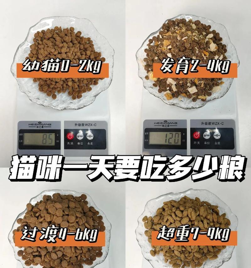 为什么吃猫粮的猫好看一点?猫粮对猫咪外观有何影响?