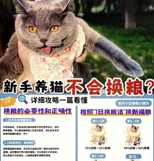 猫咪换新猫粮后食欲不振怎么办?如何顺利过渡?