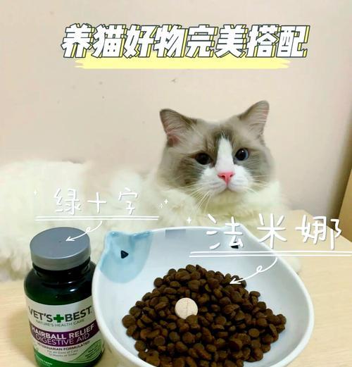 猫粮每顿都需要搭配猫草吗?猫草的正确吃法是什么?