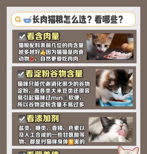 猫咪挑猫粮吃吗怎么回事?猫咪挑食的原因是什么?