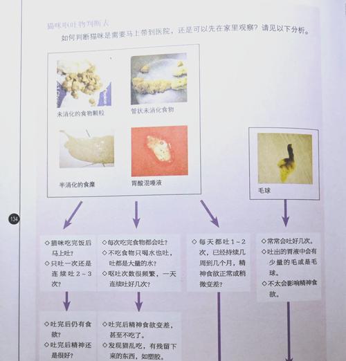 小猫咪为什么吃猫粮就吐出来了呢?这是什么原因?