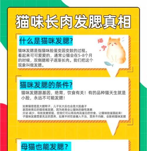 猫绝育后喜欢吃猫粮了怎么办?如何调整饮食习惯?