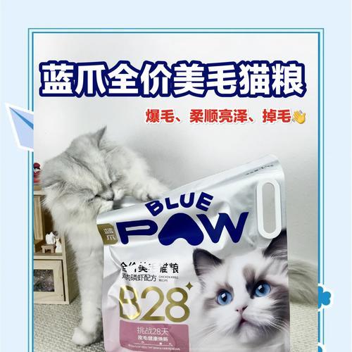 代理蓝爪猫粮的前景如何?代理流程和注意事项是什么?