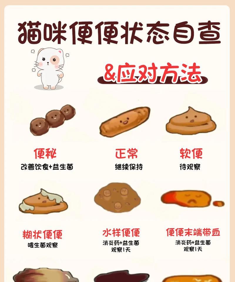 猫咪吃猫粮偶尔便血是什么原因?