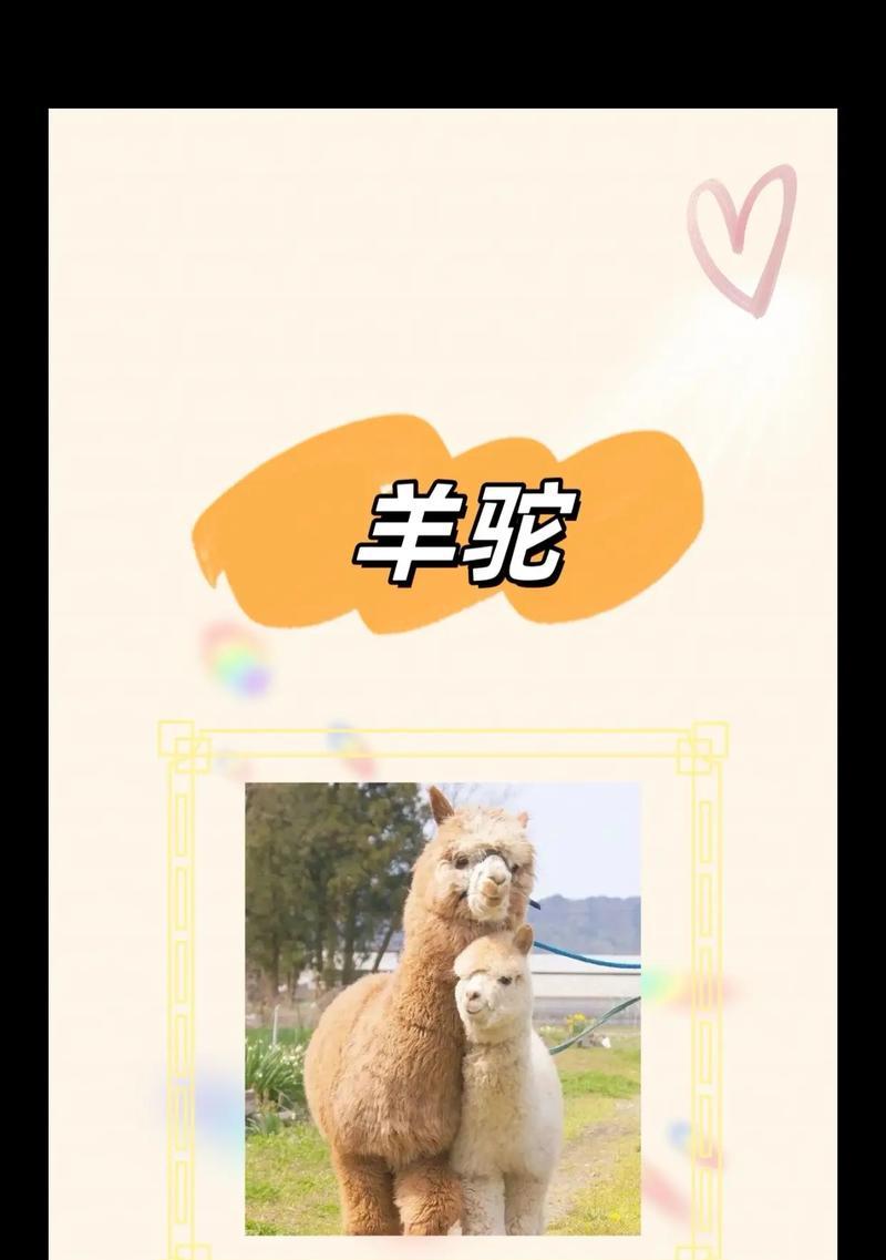 羊驼种类归属的含义是什么?