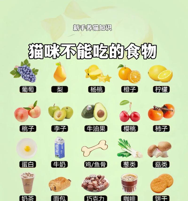 猫不吃猫粮会有什么影响?