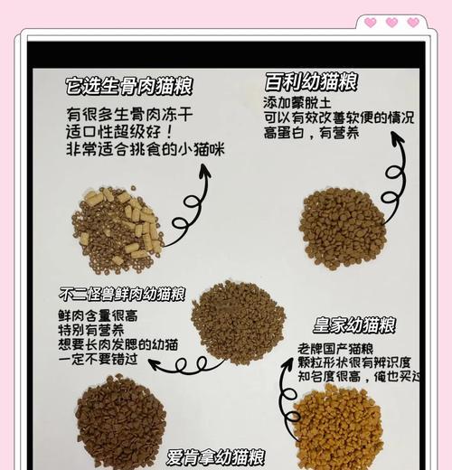 如何选择猫粮幼猫盆子?选择时需要注意什么?