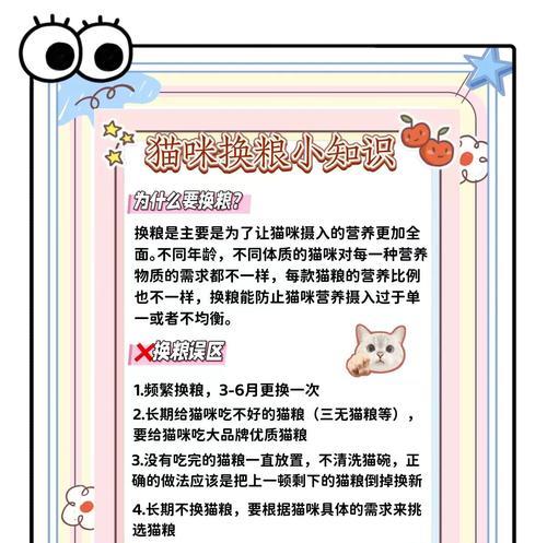猫咪换粮后屁股脏了怎么办?如何处理换粮引起的不适?