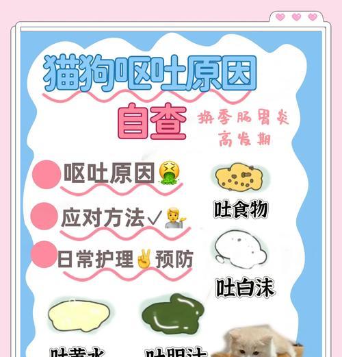 宠物猫吃鱼吐刺不拉屎怎么处理?