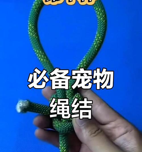 猫粮收纳绳子应该如何打结?有哪些技巧?