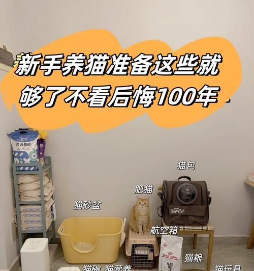 小佩猫粮盆如何清洗?保持猫粮盆卫生的方法是什么?