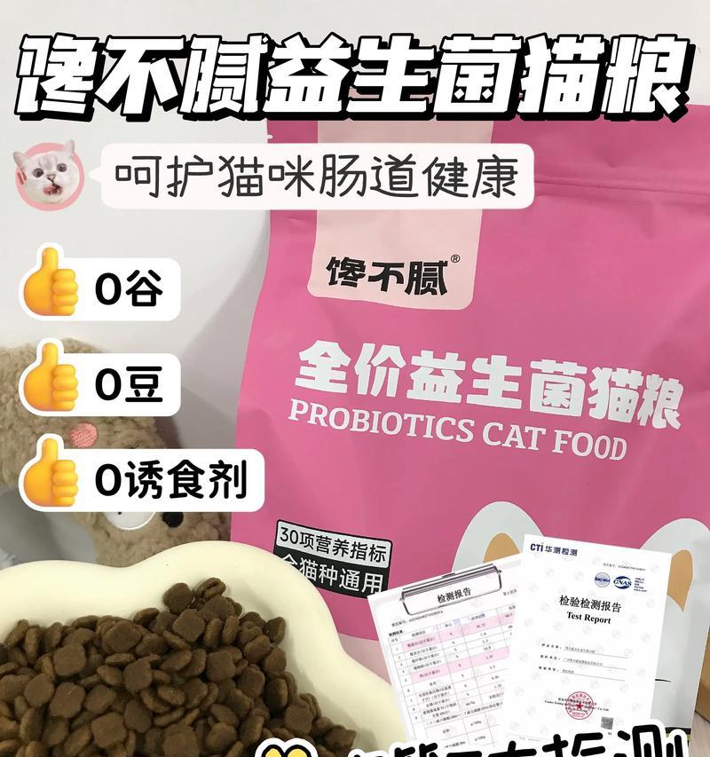 猫咪一直盯着碗里的猫粮怎么办?如何正确喂食?