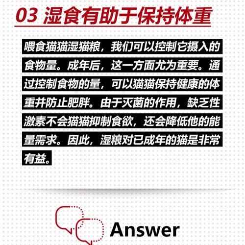 猫咪不吃猫粮和湿粮该如何解决?