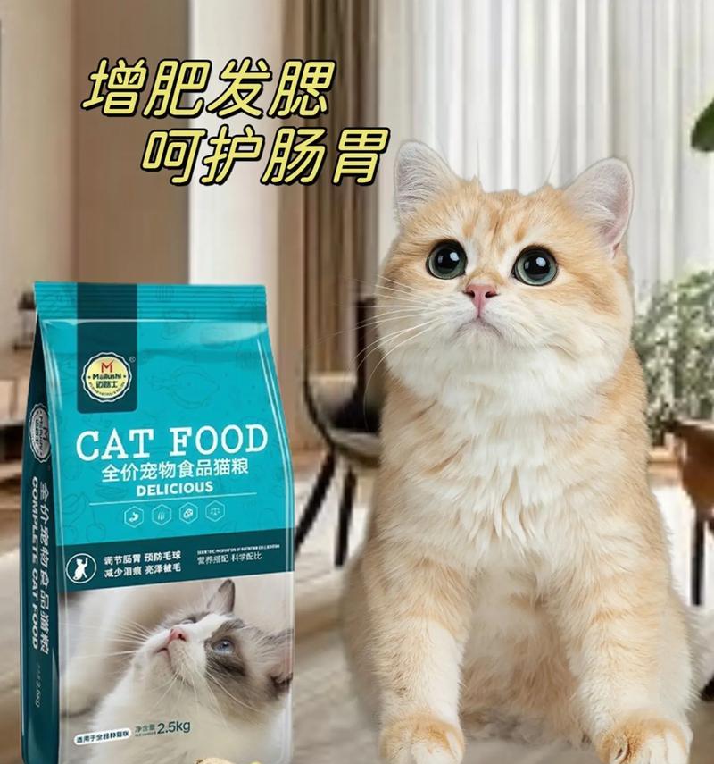 自制猫粮怎么做才好吃?给猫猫做猫粮的美味做法是什么?
