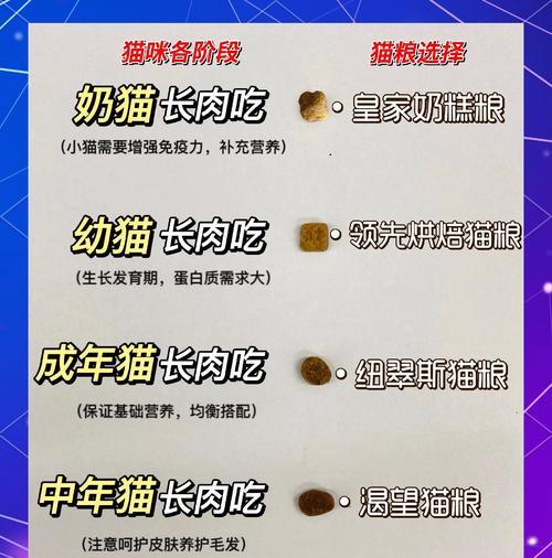 过年期间忘记买猫粮如何应急?有哪些替代方案?