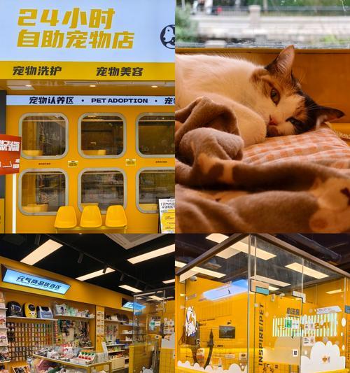 华贝自助洗猫粮的使用体验如何?自助洗猫粮的便利性体现在哪些方面?
