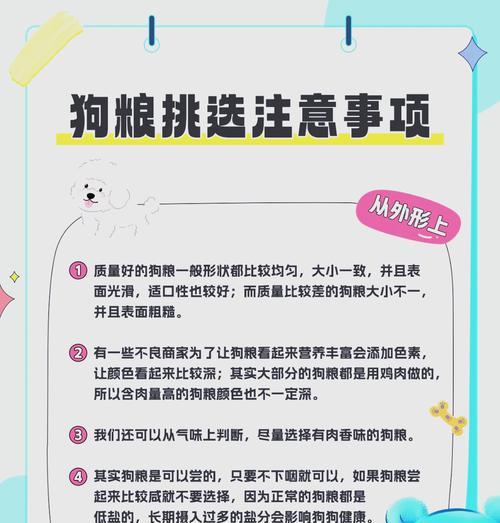 如何让狗更喜欢狗粮?