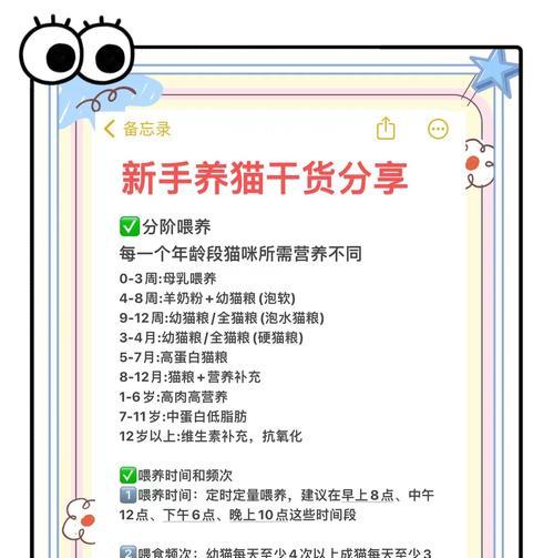小猫缺粮时应先喂什么食物?