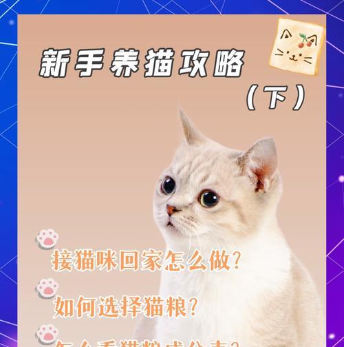 猫粮可以作为猫砂使用吗?使用方法是什么?