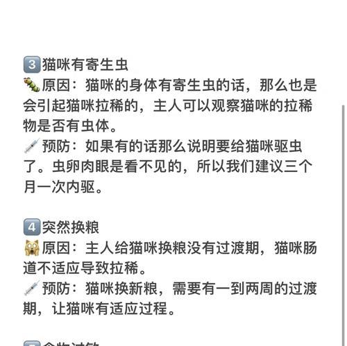 猫咪不嚼碎猫粮就拉稀是何原因?