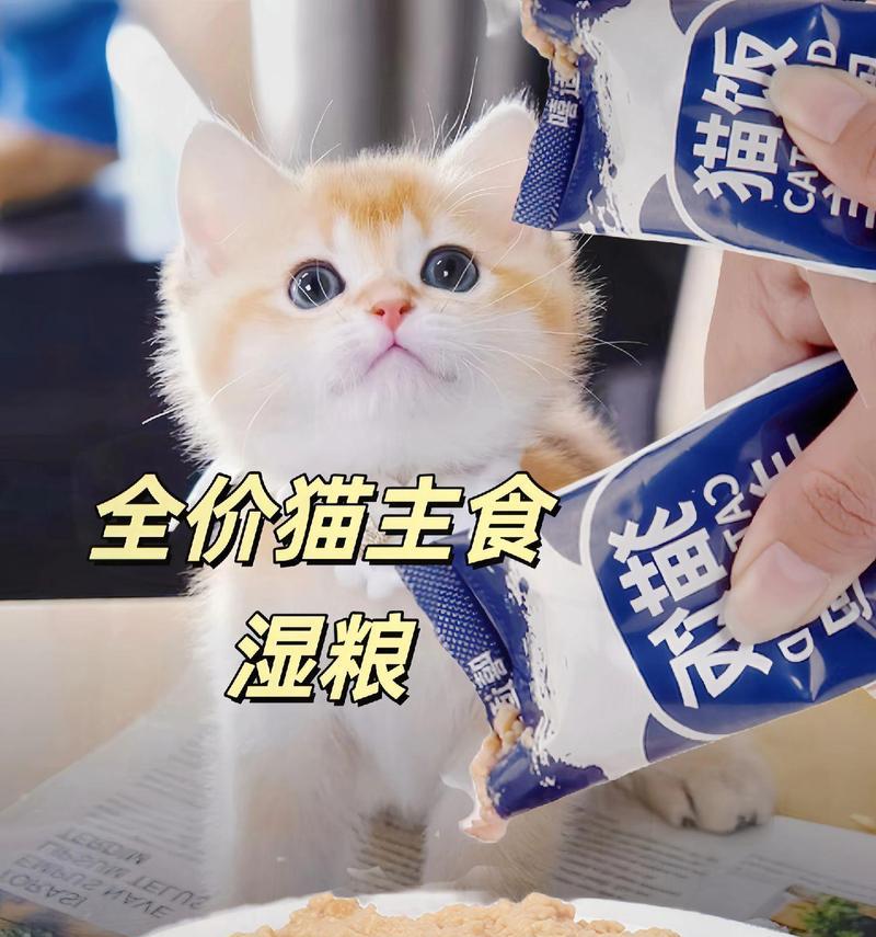 猫粮混着米饭猫会吃吗为什么