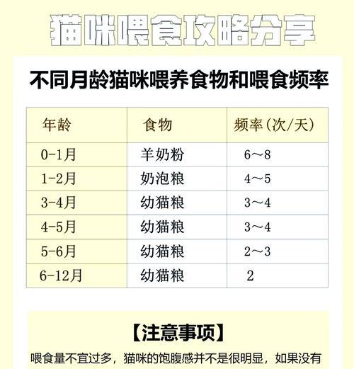 猫咪为何偏爱肉食?如何引导猫咪吃猫粮?