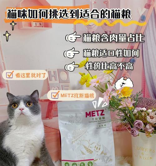 猫咪支原体感染时应该吃什么猫粮?
