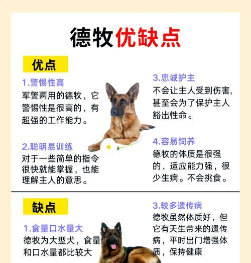 芜湖德牧办狗证需要多少钱?怎么办理?