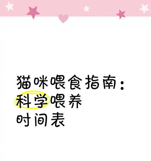 如何正确定时喂猫粮?定时喂食的好处是什么?