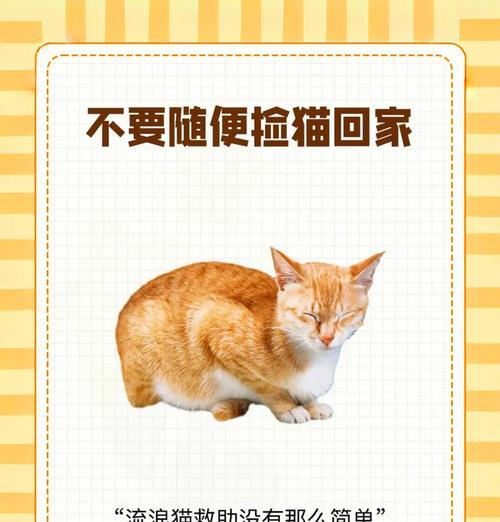 小猫捡拾猫粮后应如何处理?