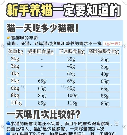 如何辨别泥土猫粮的质量?选择优质猫粮的标准是什么?