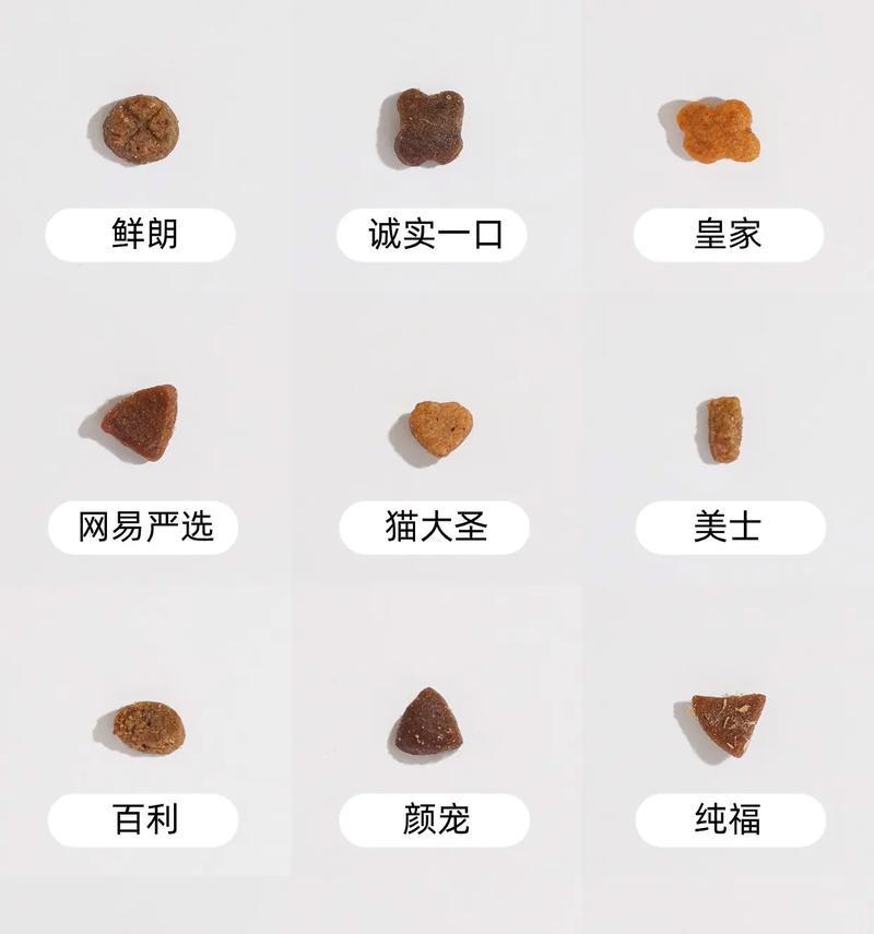 幼猫没有猫粮时可以吃什么替代食物?