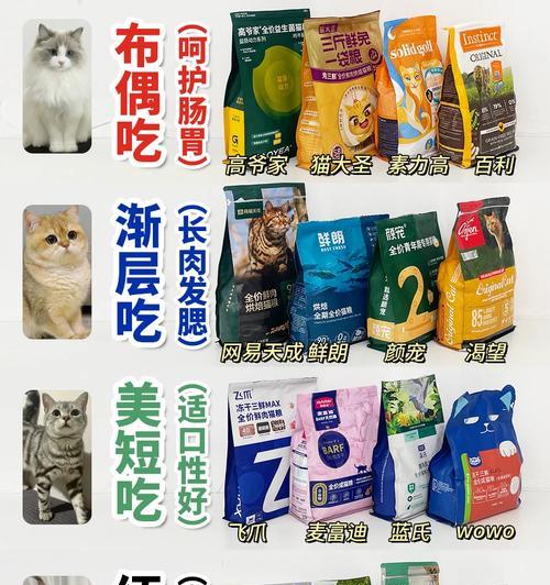 布偶猫换粮拉稀应如何处理?吃什么药合适?