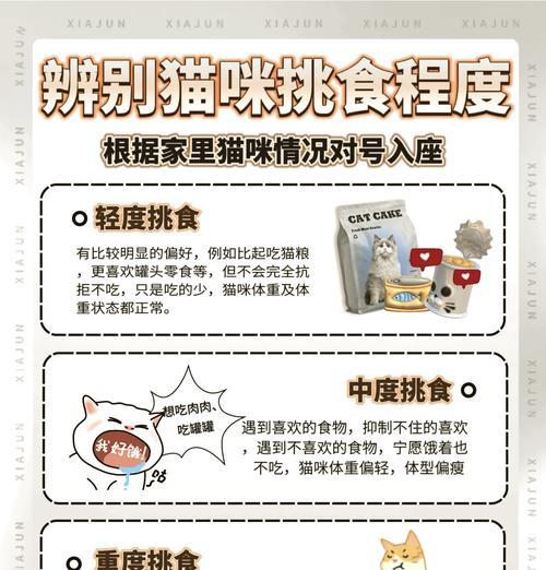 蓝猫吃猫粮后仍感饥饿应如何解决?