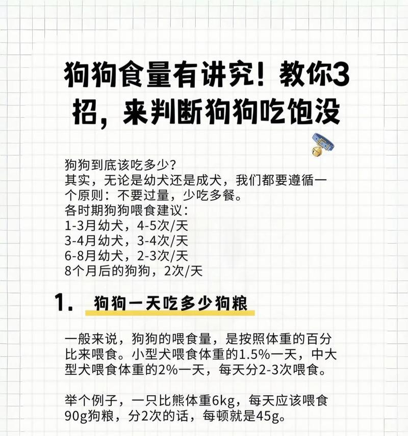 小狗偷吃狗粮过多怎么办?如何防止这种情况发生?