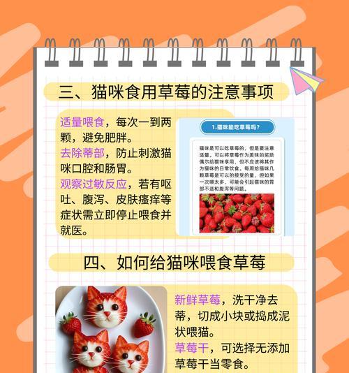 猫粮要配着什么吃?有哪些食物可以搭配猫粮提高营养?