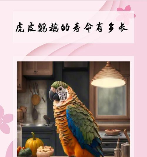 虎皮鹦鹉寿命能活50年吗多大岁数了?如何延长它们的寿命?