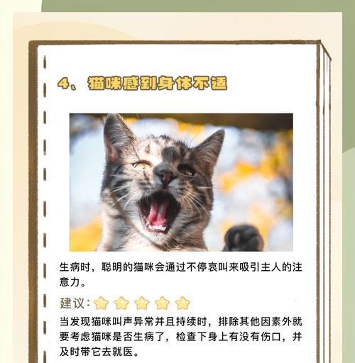 小猫没有猫粮时会叫唤吗?原因是什么?