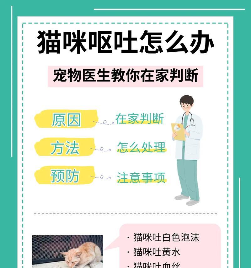 宠物猫食用鱼类后为何会呕吐?