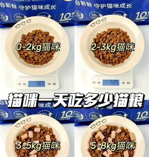 猫咪吃猫粮如何节省体力?有哪些喂养技巧?