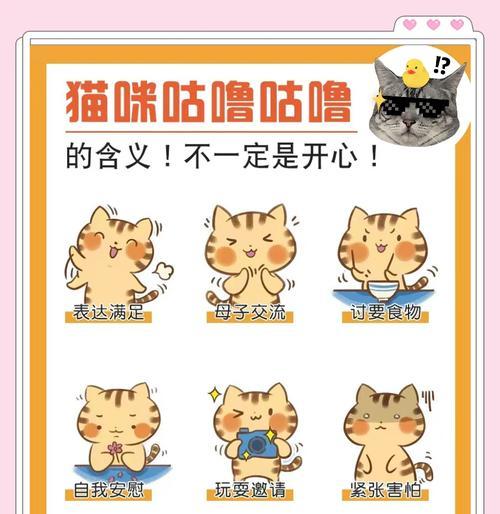 猫咪不吃猫粮肚子却发出呼噜声是为什么?