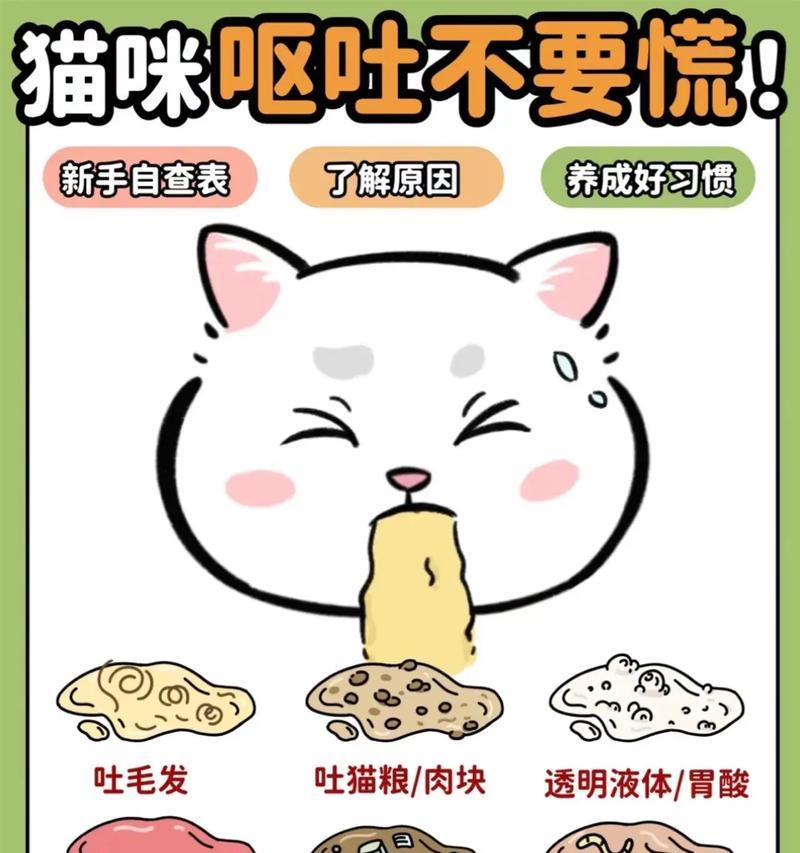 猫咪呕吐但未进食猫粮的原因?