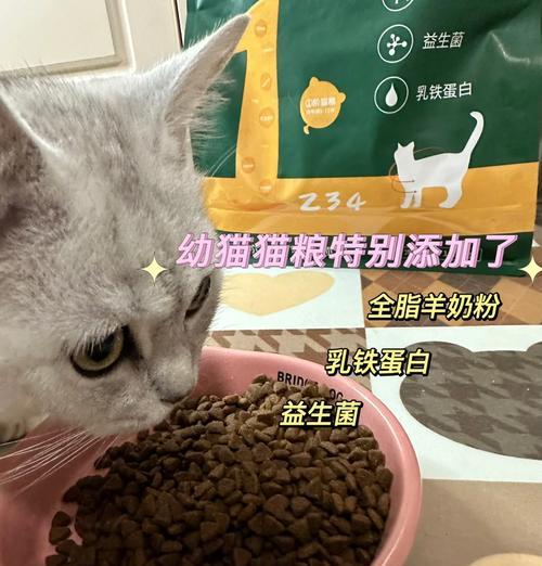 如何在喂养猫粮时实现经济节约?