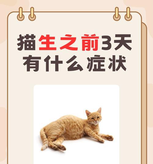 猫咪食用猫粮后出现热气症状的原因?