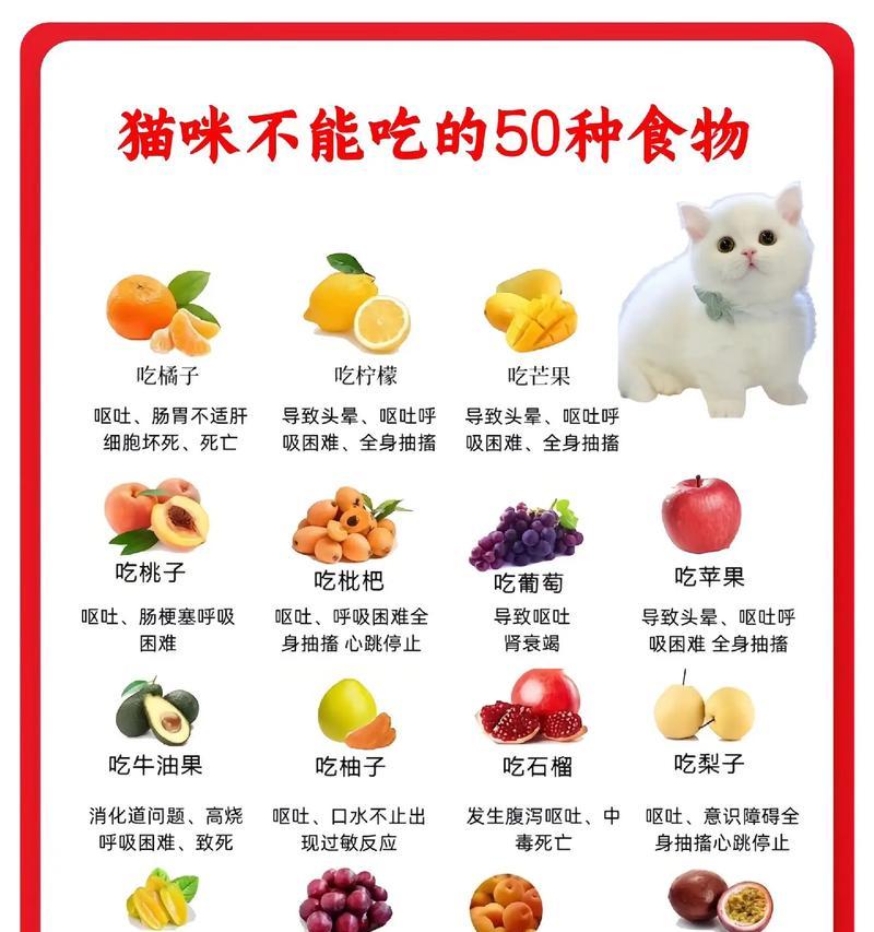 猫咪不吃猫粮应该怎么办?有哪些可能的原因和解决方法?