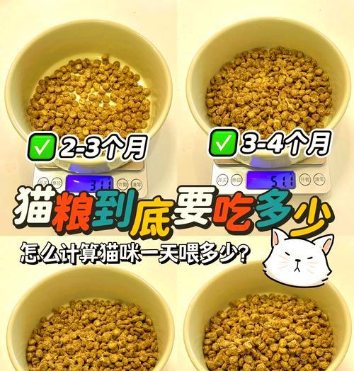 小猫吃空气猫粮是否健康以及如何喂食?