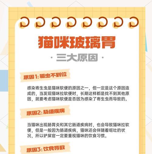 布偶猫猫粮制作方法有哪些?如何确保营养均衡?